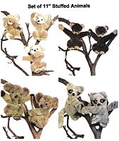 11" Animals
