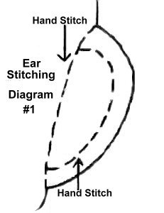 Cherub Ear